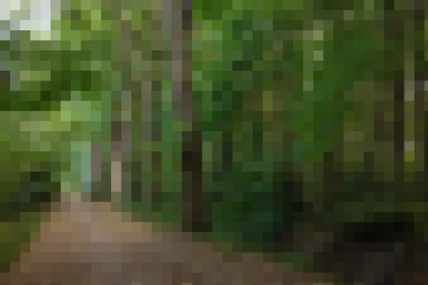 De Bleek 1 Liempde thumbnail 85