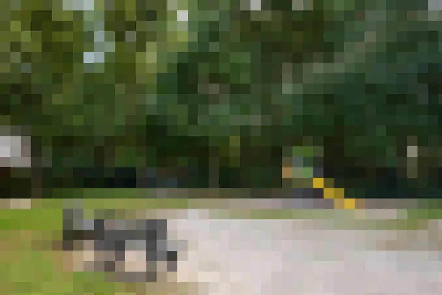 De Bleek 1 Liempde thumbnail 87