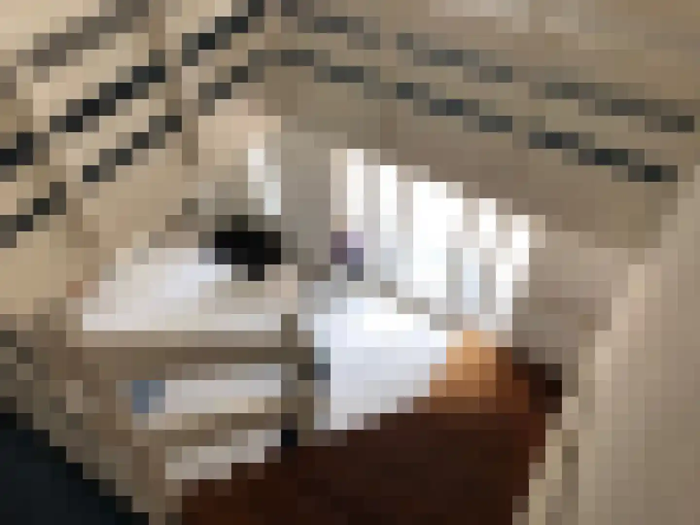 De Bleek 4 Montfoort thumbnail 18