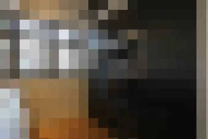De Bleek 9 Liempde thumbnail 13