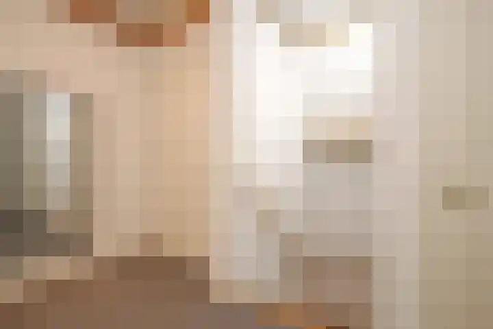 De Bleek 9 Liempde thumbnail 20