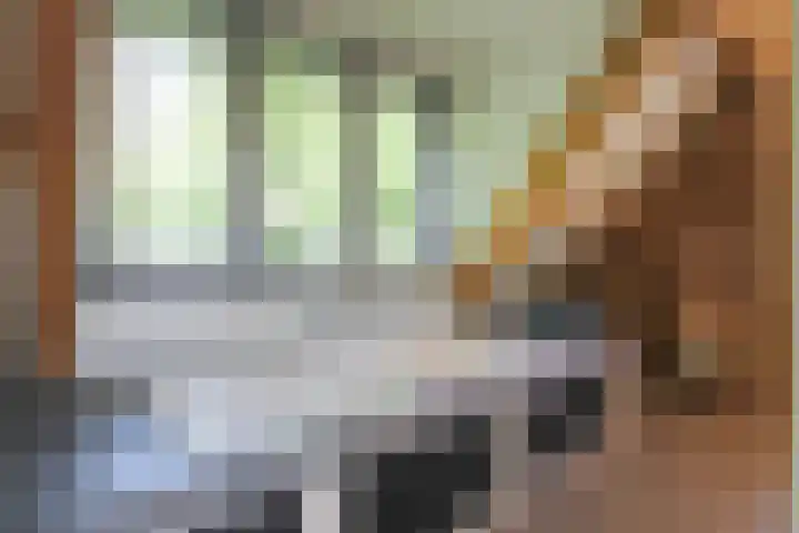 De Bleek 9 Liempde thumbnail 24