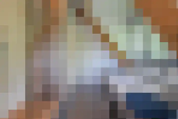 De Bleek 9 Liempde thumbnail 29