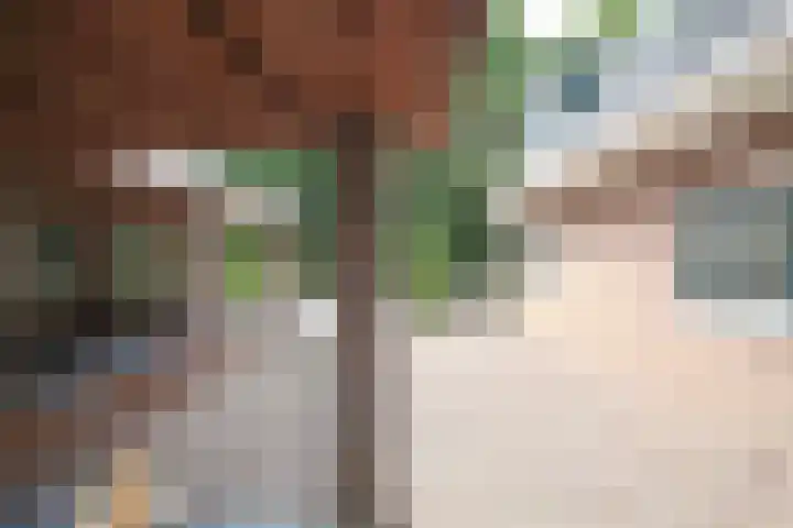 De Bleek 9 Liempde thumbnail 40