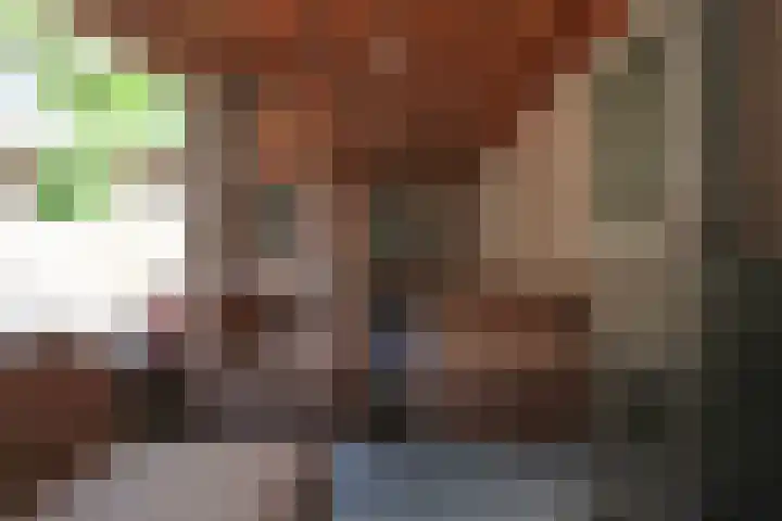 De Bleek 9 Liempde thumbnail 41