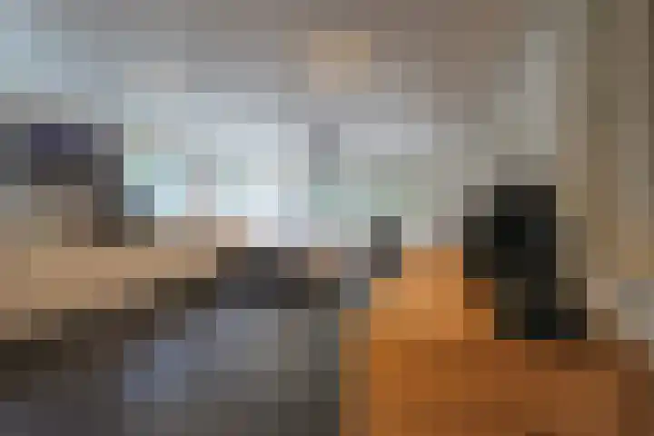 De Bleek 9 Liempde thumbnail 43