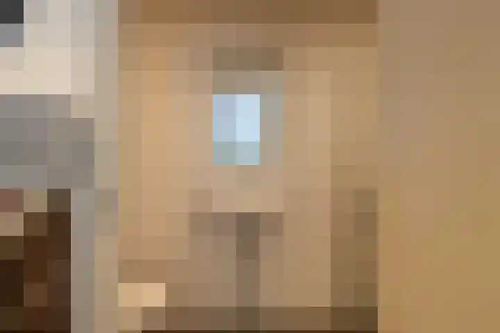 De Bleek 9 Liempde thumbnail 46