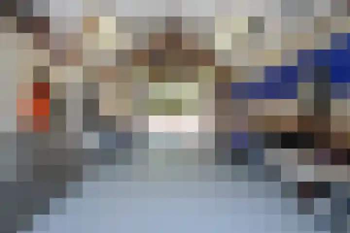 De Bleek 9 Liempde thumbnail 48