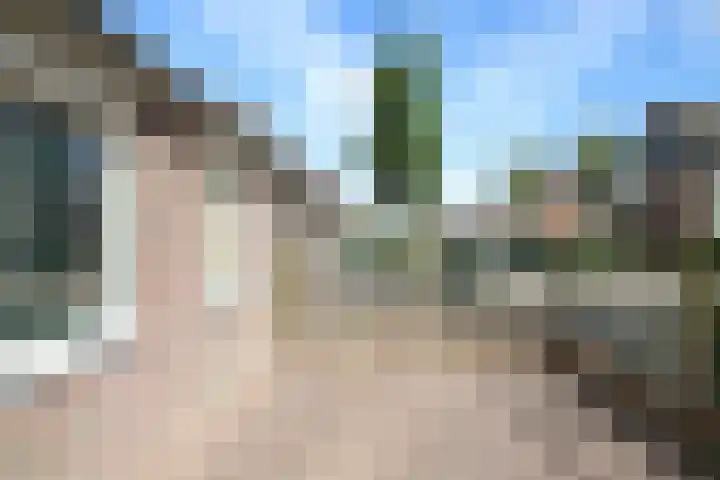 De Bleek 9 Liempde thumbnail 56