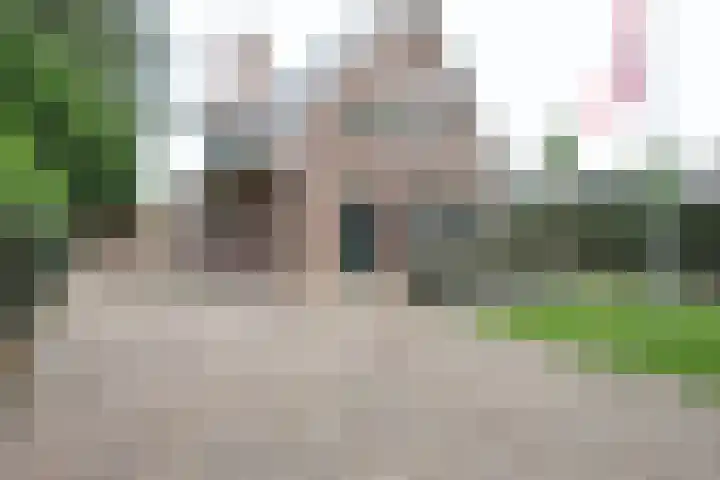 De Bleek 9 Liempde thumbnail 60