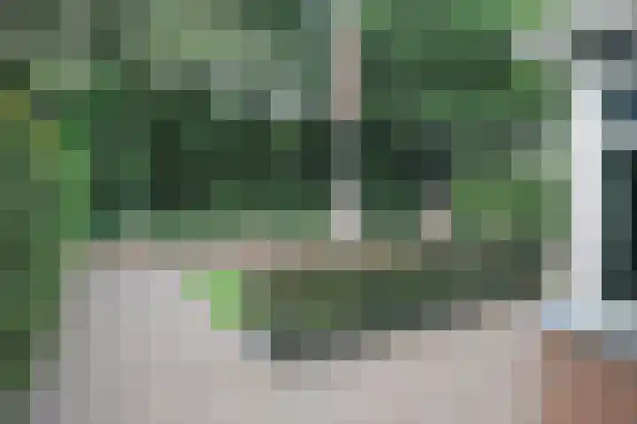 De Bleek 9 Liempde thumbnail 61