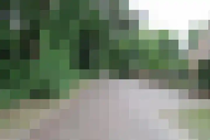 De Bleek 9 Liempde thumbnail 62