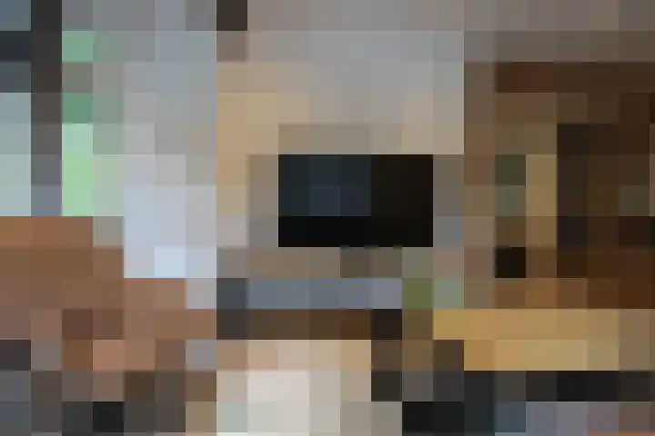 De Bleek 9 Liempde thumbnail 7