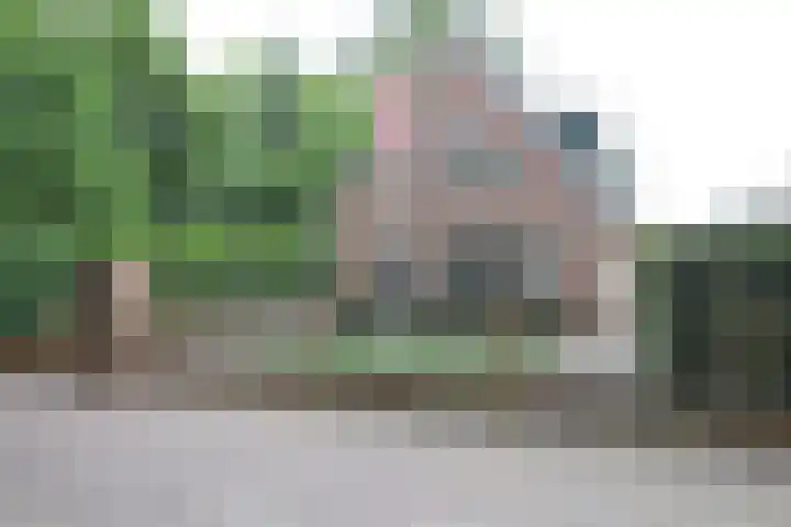 De Bleek 9 Liempde thumbnail 71