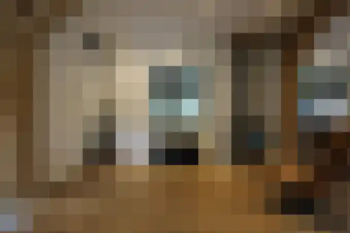De Bleek 9 Liempde thumbnail 9