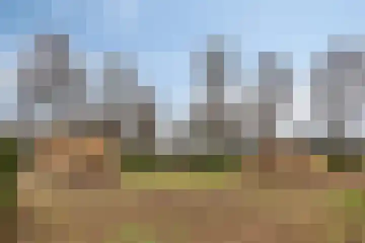 De Bleken 16 Rosmalen thumbnail 39