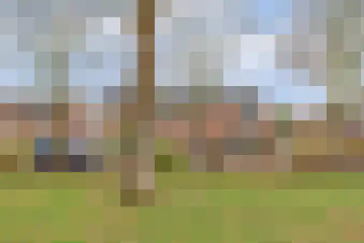 De Bleken 16 Rosmalen thumbnail 43