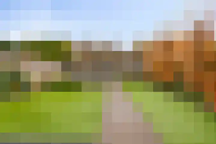 De Bleker 59 Veldhoven thumbnail 28