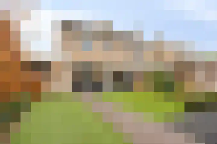 De Bleker 59 Veldhoven thumbnail 30