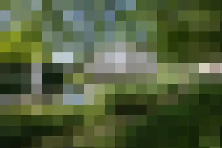 De Blekerij 7 Leusden thumbnail 22