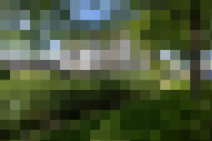 De Blekerij 7 Leusden thumbnail 23