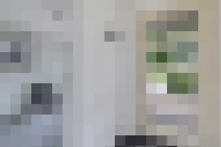 De Blikken 10 Stiens thumbnail 14