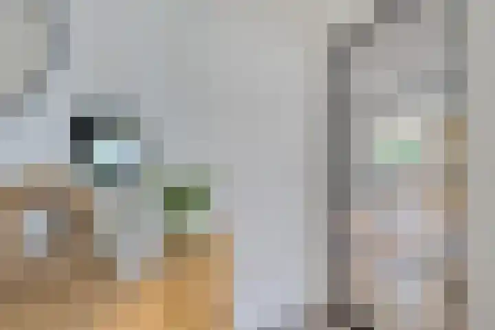 De Blikken 10 Stiens foto 2