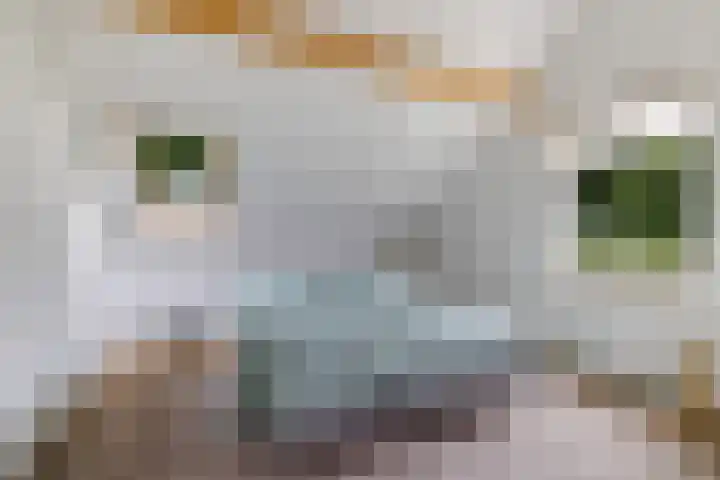 De Blikken 10 Stiens thumbnail 20