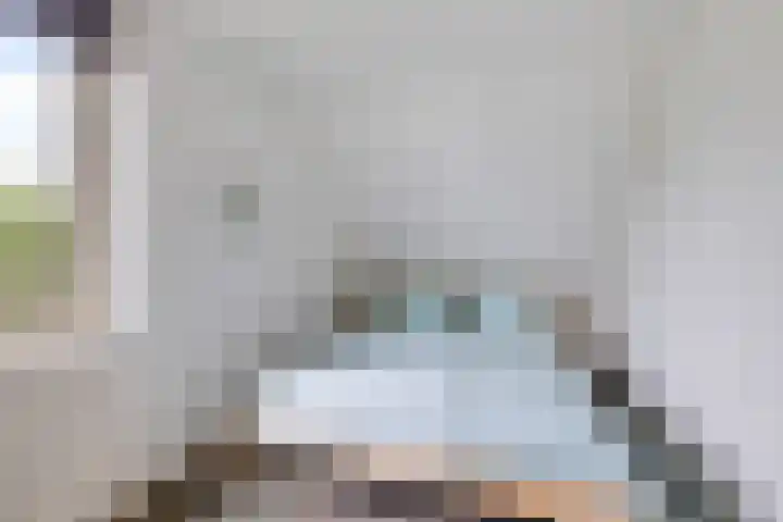 De Blikken 10 Stiens thumbnail 23