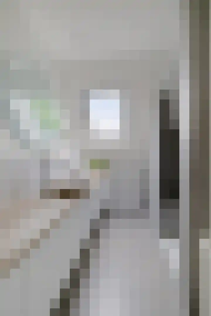 De Blikken 10 Stiens thumbnail 29