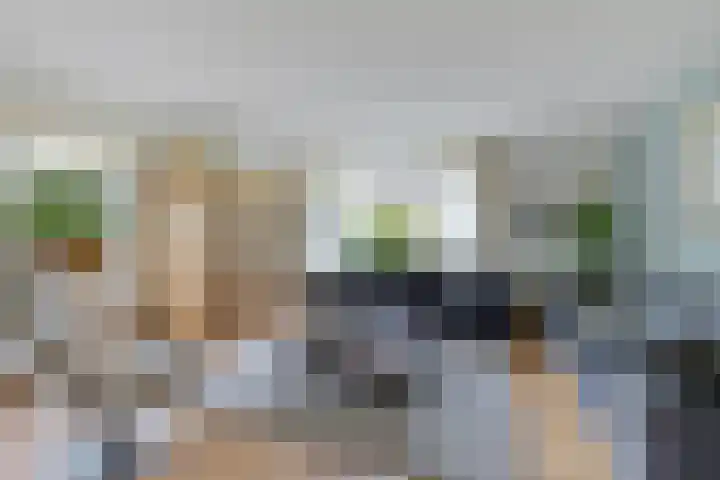 De Blikken 10 Stiens thumbnail 4