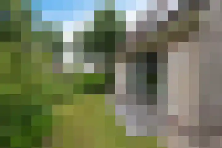 De Blikken 10 Stiens thumbnail 42