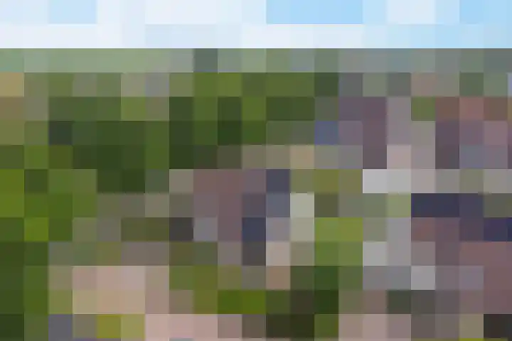 De Blikken 10 Stiens thumbnail 47