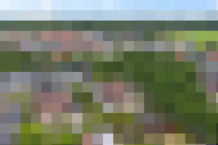 De Blikken 10 Stiens thumbnail 50
