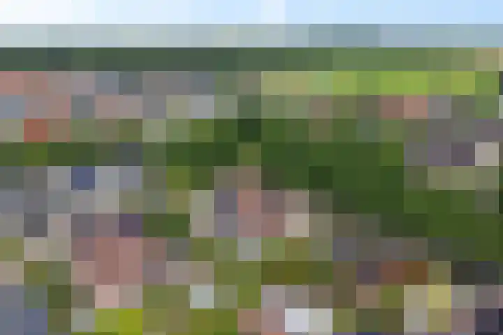De Blikken 10 Stiens thumbnail 51