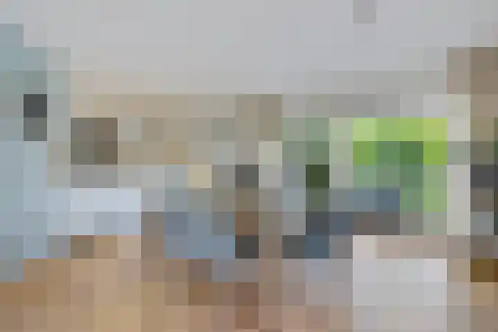 De Blikken 10 Stiens thumbnail 9