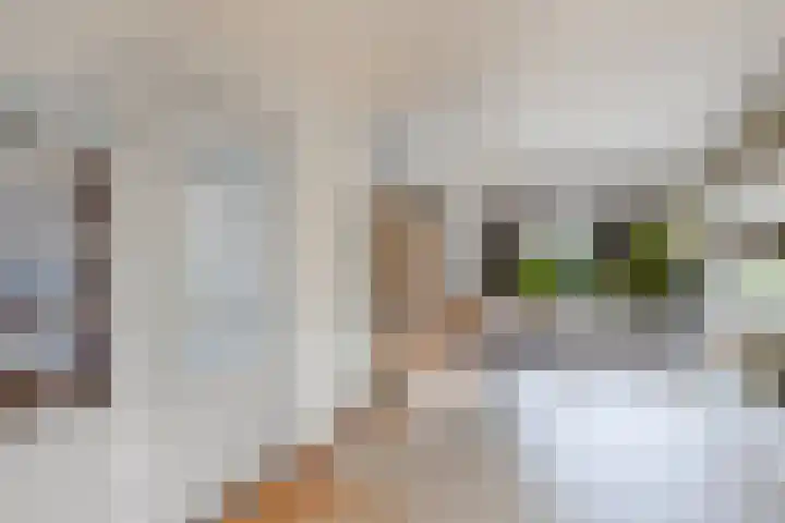 De Blink 10 Bolsward thumbnail 13