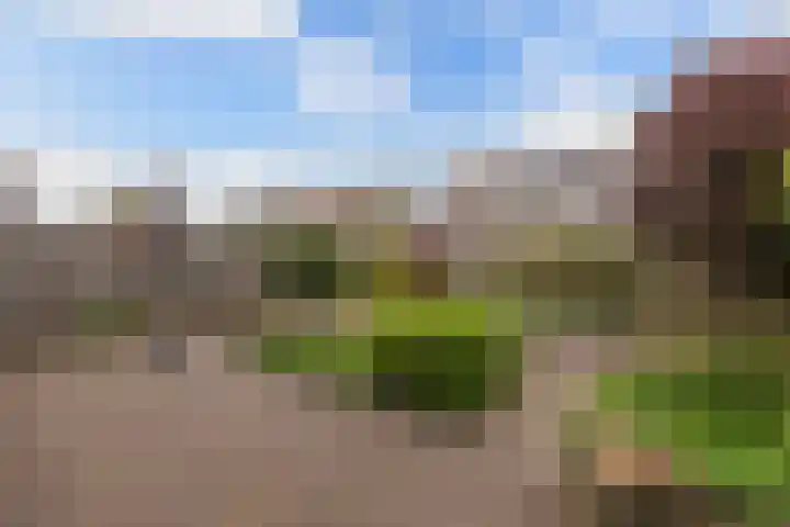 De Blink 10 Bolsward thumbnail 22