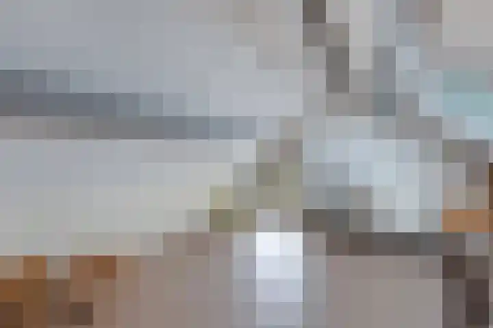 De Blink 10 Bolsward thumbnail 44