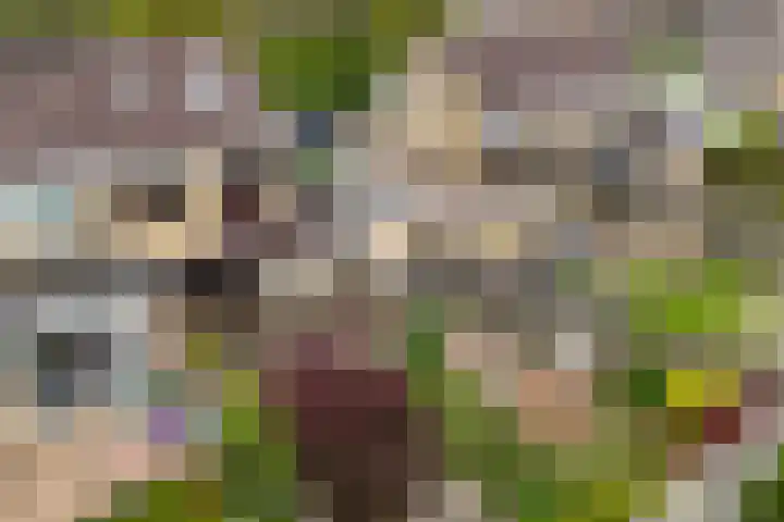De Blink 10 Bolsward thumbnail 46