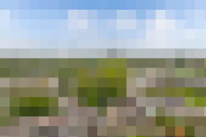 De Blink 10 Bolsward thumbnail 47