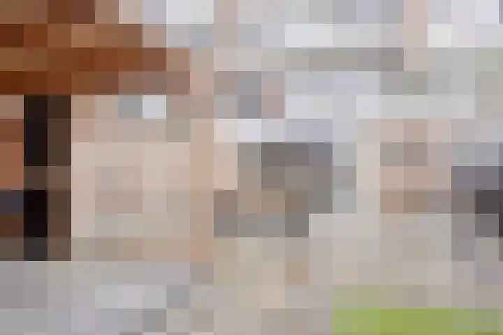 De Blinken 7 Emmen thumbnail 45
