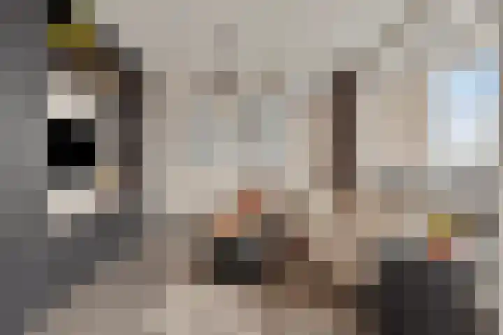 De Blinken 7 Emmen thumbnail 5