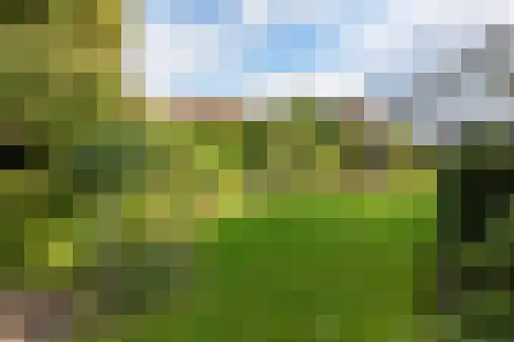De Blomhof 14 Heiloo thumbnail 30