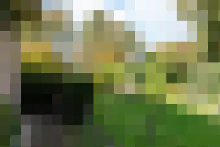 De Blomhof 14 Heiloo thumbnail 31