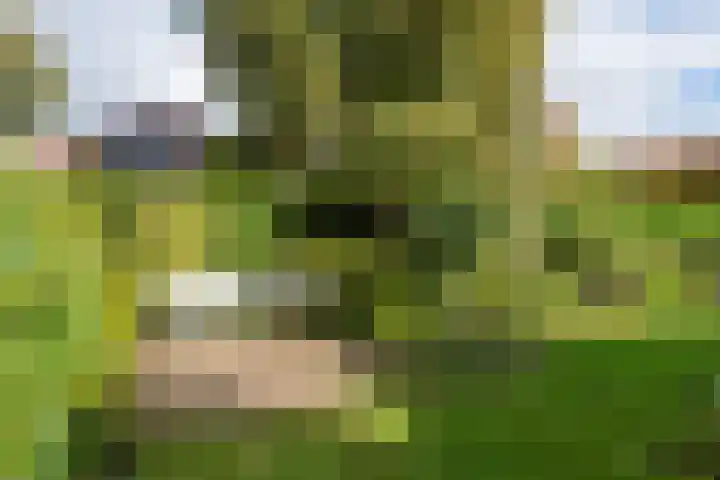 De Blomhof 14 Heiloo thumbnail 36