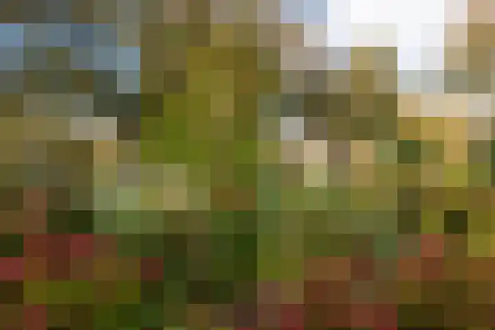 De Blomhof 14 Heiloo thumbnail 38