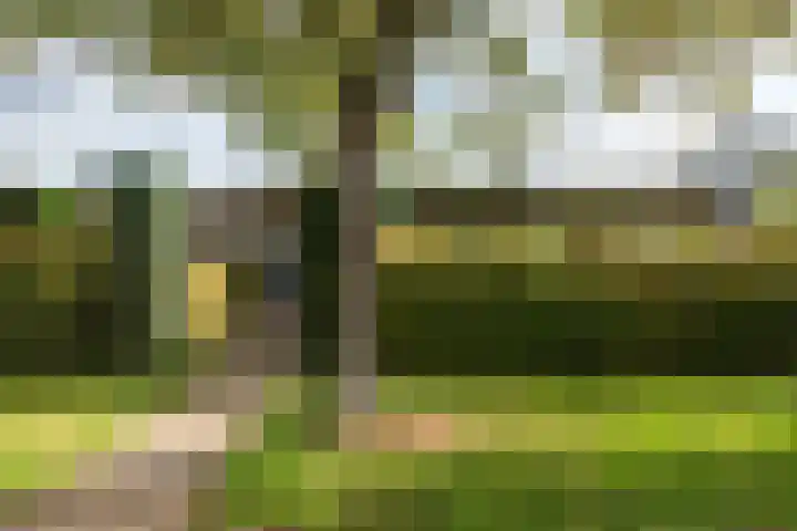 De Blomhof 14 Heiloo thumbnail 39