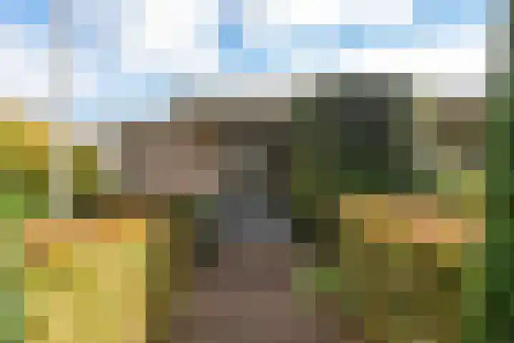 De Blomhof 14 Heiloo thumbnail 41