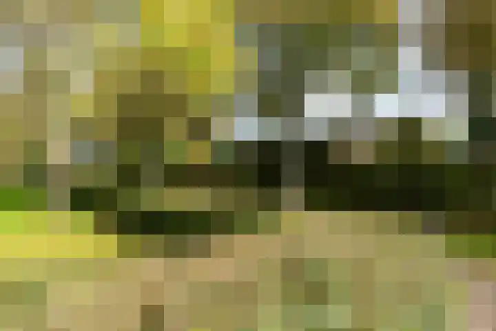 De Blomhof 14 Heiloo thumbnail 42